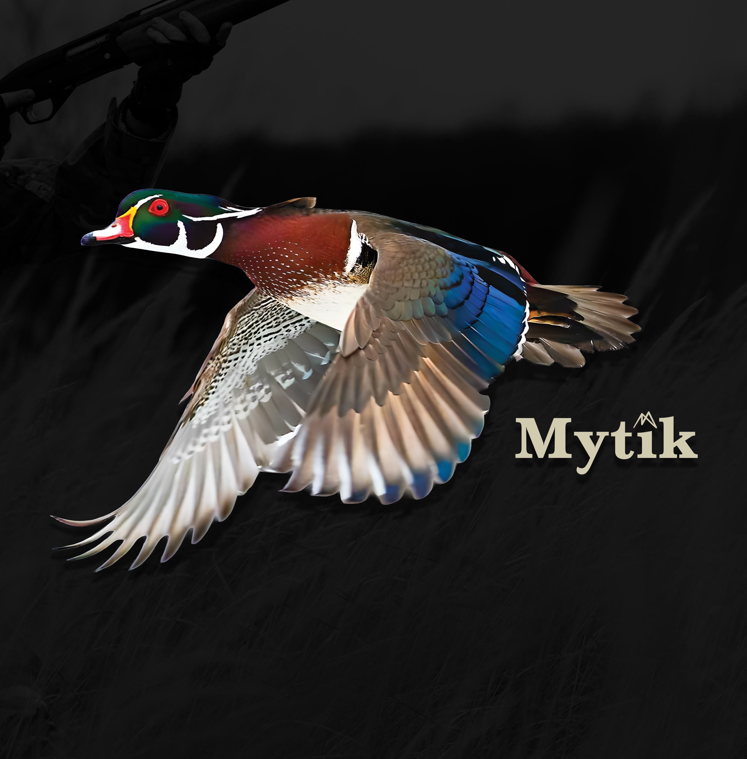 WOOD DUCK
